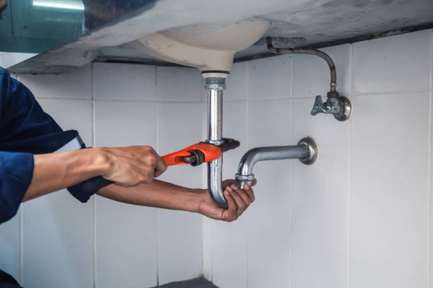 Best Plumbing Inspection Services  in Pine Level, NC
